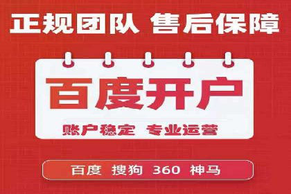 行业领先企业的网络推广与竞价经验